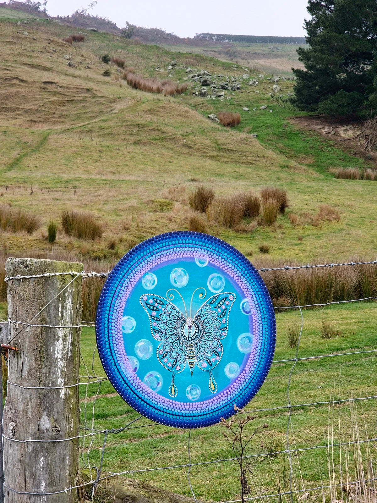 Ethereal Mandala Butterfly Paintings