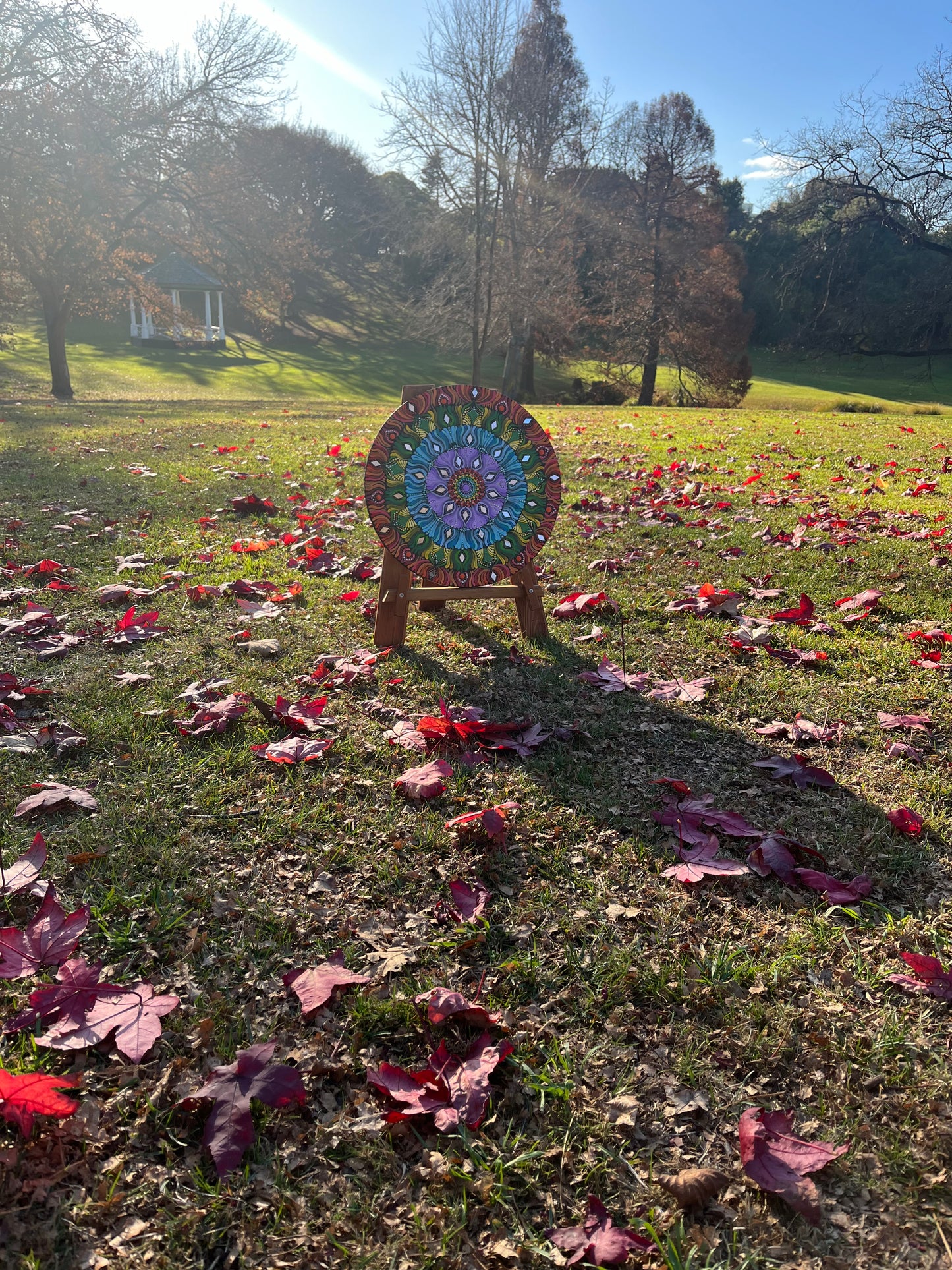 Spectrum of Serenity: Rainbow Inspired Mandala Wall Paintings